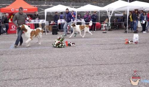 Ke20, agenzia doi animazione eventi e spettacoli a Catania